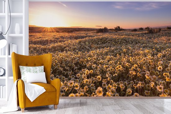 Champ de fleurs vallonné au crépuscule 330x220 cm