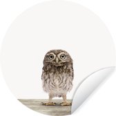 WallCircle - Stickers muraux - Cercle Papier Peint - Animaux - Wit - Hibou - 120x120 cm - Cercle Mural - Auto Adhésif - Sticker Papier Peint Rond XXL
