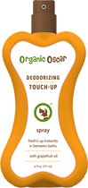 Deodorizing Touch-Up Spray