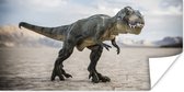 Poster Dinosaurus - Zand - Speelgoed - 150x75 cm