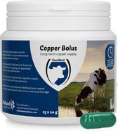 Excellent Copper Bolus - Koperbolus met een werking van 6 maanden - voedingssupplement voor runderen - 25 stuks