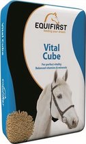 Equifirst Vital Cube 20KG