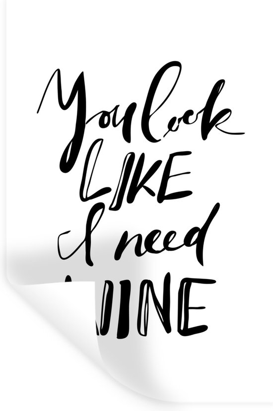 Sticker Muursticker Citations De Vin Citation De Vin On Dirait Que J Ai Besoin De Bol Com