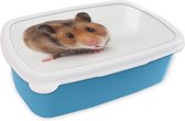 Broodtrommel Blauw - Lunchbox - Brooddoos - Nieuwsgierige hamster - 18x12x6 cm - Kinderen - Jongen