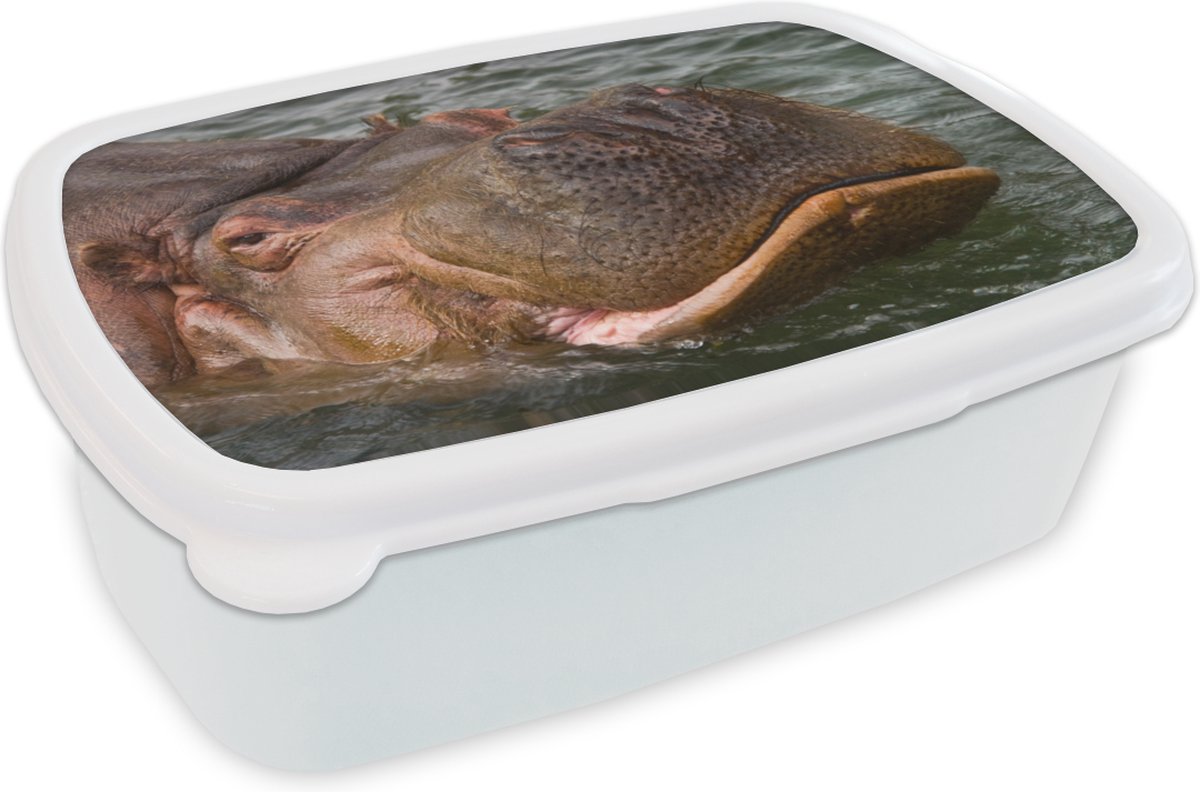 Broodtrommel Wit - Lunchbox - Brooddoos - Nijlpaard - Water - 18x12x6 cm - Volwassenen