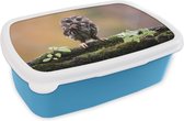 Broodtrommel Blauw - Lunchbox - Brooddoos - Kleine uil - 18x12x6 cm - Kinderen - Jongen