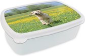 Broodtrommel Wit - Lunchbox - Brooddoos - Golden Retriever met een tak in de mond tussen de gele bloemen - 18x12x6 cm - Volwassenen