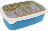 Broodtrommel Blauw - Lunchbox - Brooddoos - Een roerdomp staand in het water - 18x12x6 cm - Kinderen - Jongen