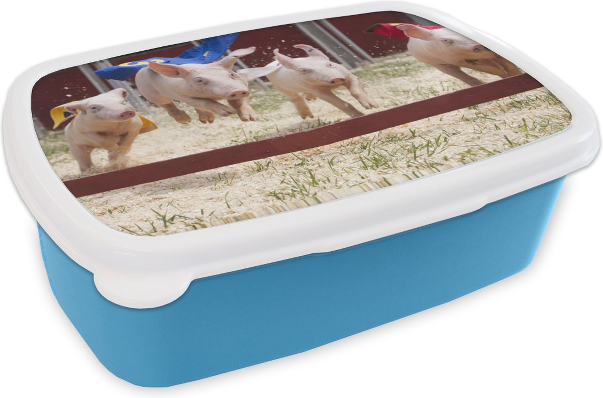 Broodtrommel Blauw - Lunchbox - Brooddoos - Varken - Cape - Gras - 18x12x6 cm - Kinderen - Jongen