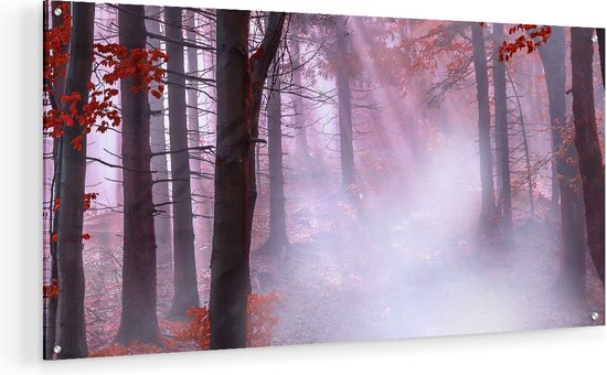 Artaza Glasschilderij - Rood Bos Met Bomen - 80x40 - Plexiglas Schilderij - Foto op Glas