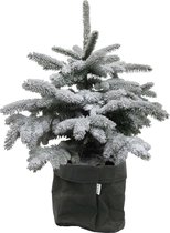 Picea sneeuw in Sizo bag (zwart) – ↨ 85cm – ⌀ 30cm