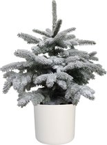 Picea sneeuw in ELHO b.for soft rond sierpot (wit) – ↨ 85cm – ⌀ 30cm