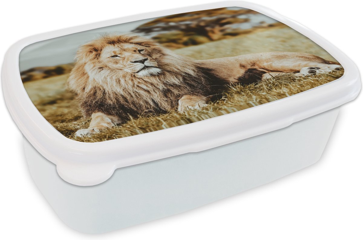 Broodtrommel Wit - Lunchbox - Brooddoos - Leeuwen - Wild - Afrika - 18x12x6 cm - Volwassenen