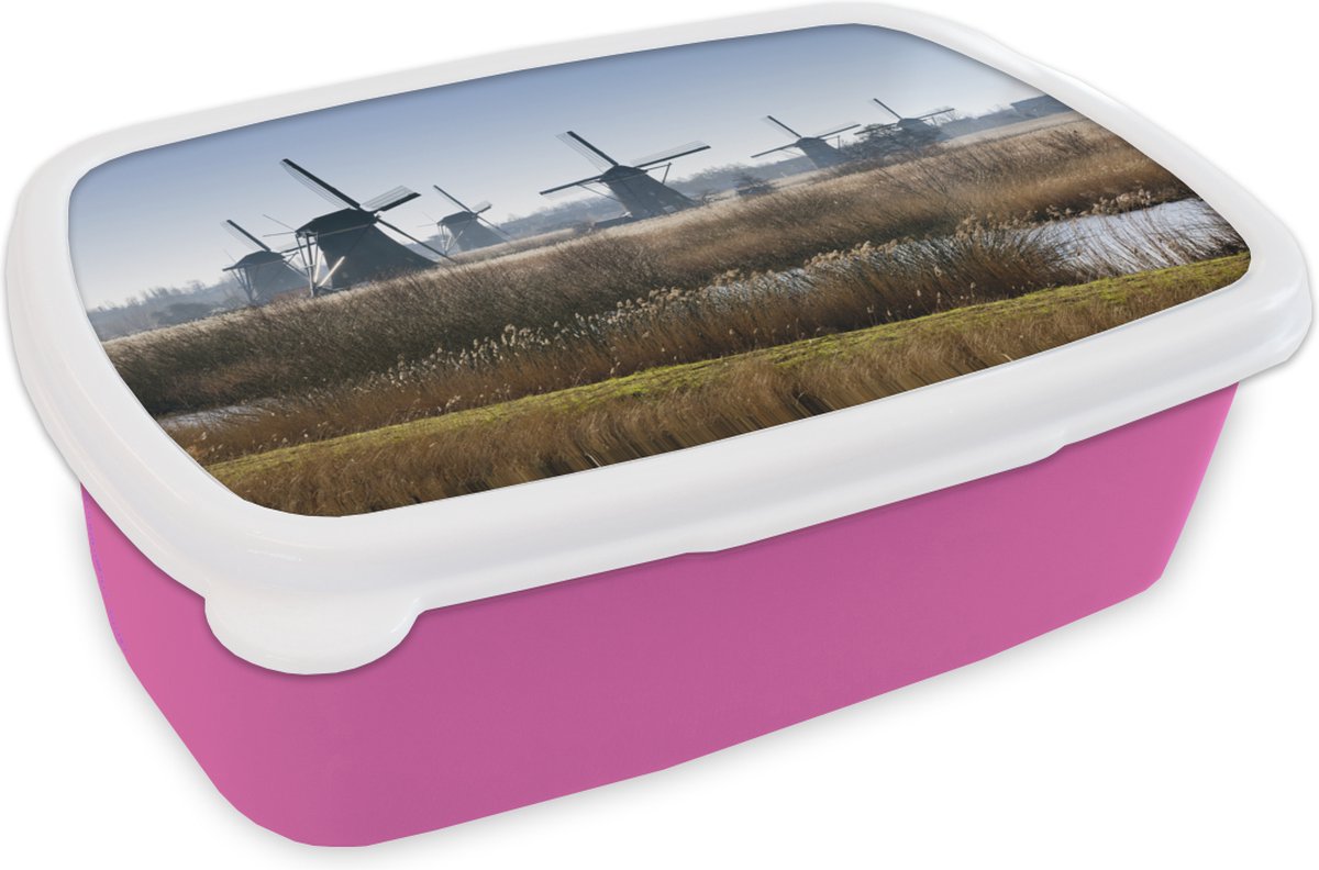 Broodtrommel Roze - Lunchbox - Brooddoos - Molens van Kinderdijk - 18x12x6 cm - Kinderen - Meisje
