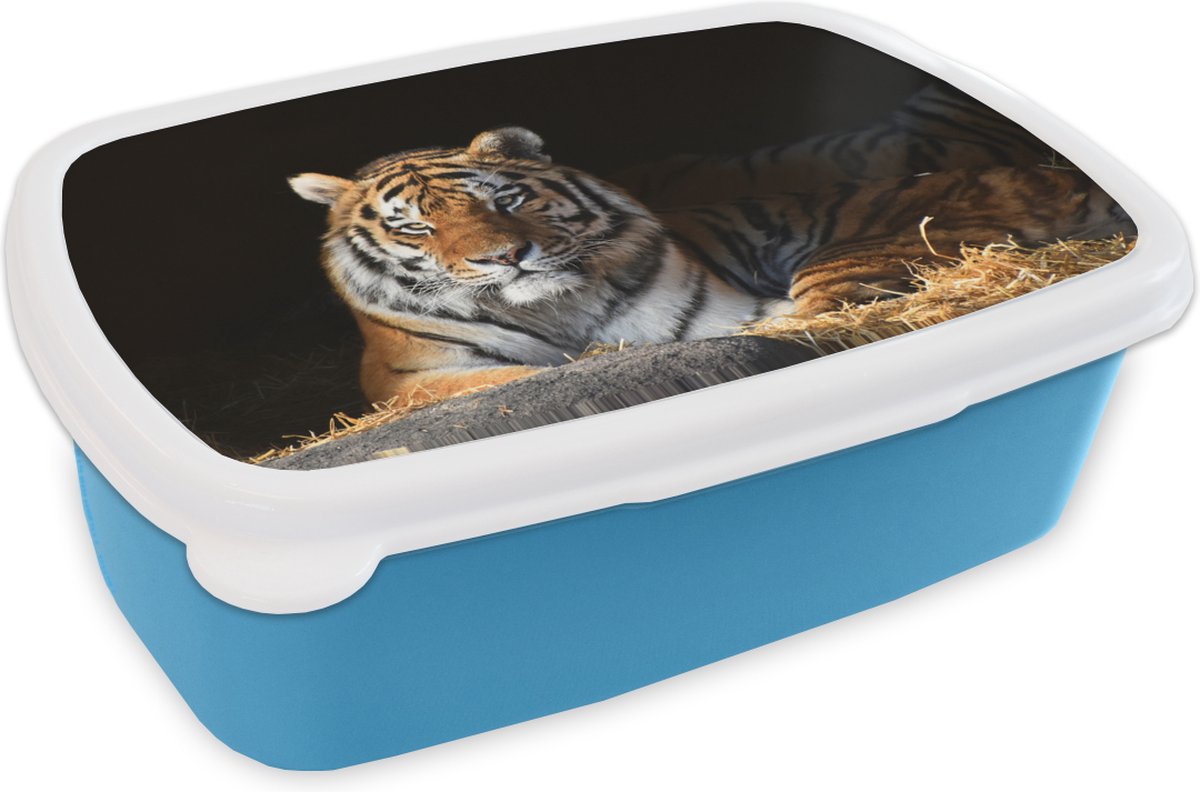 Broodtrommel Blauw - Lunchbox - Brooddoos - Tijger - Stro - Schaduw - 18x12x6 cm - Kinderen - Jongen