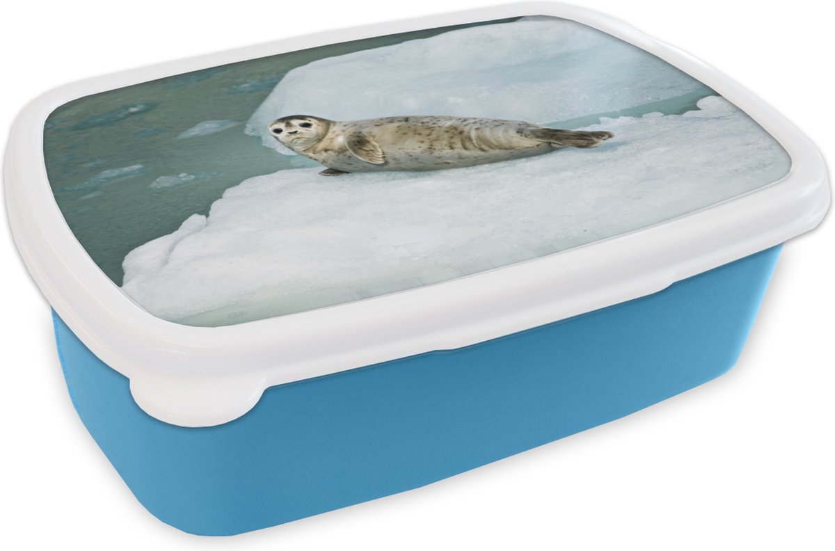 Broodtrommel Blauw - Lunchbox - Brooddoos - Zeehond - Zee - IJs - 18x12x6 cm - Kinderen - Jongen
