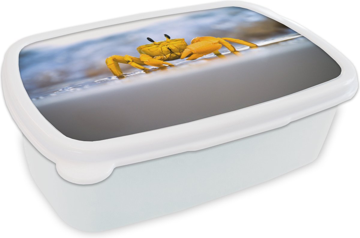 Broodtrommel Wit - Lunchbox - Brooddoos - Krab - Strand - Zee - 18x12x6 cm - Volwassenen