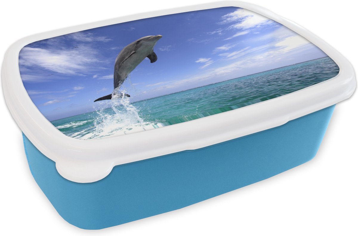 Broodtrommel Blauw - Lunchbox - Brooddoos - Dolfijn - Zee - Lucht - 18x12x6 cm - Kinderen - Jongen