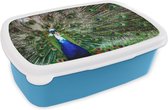 Broodtrommel Blauw - Lunchbox - Brooddoos - Pauw - Veren - Wit - Blauw - 18x12x6 cm - Kinderen - Jongen