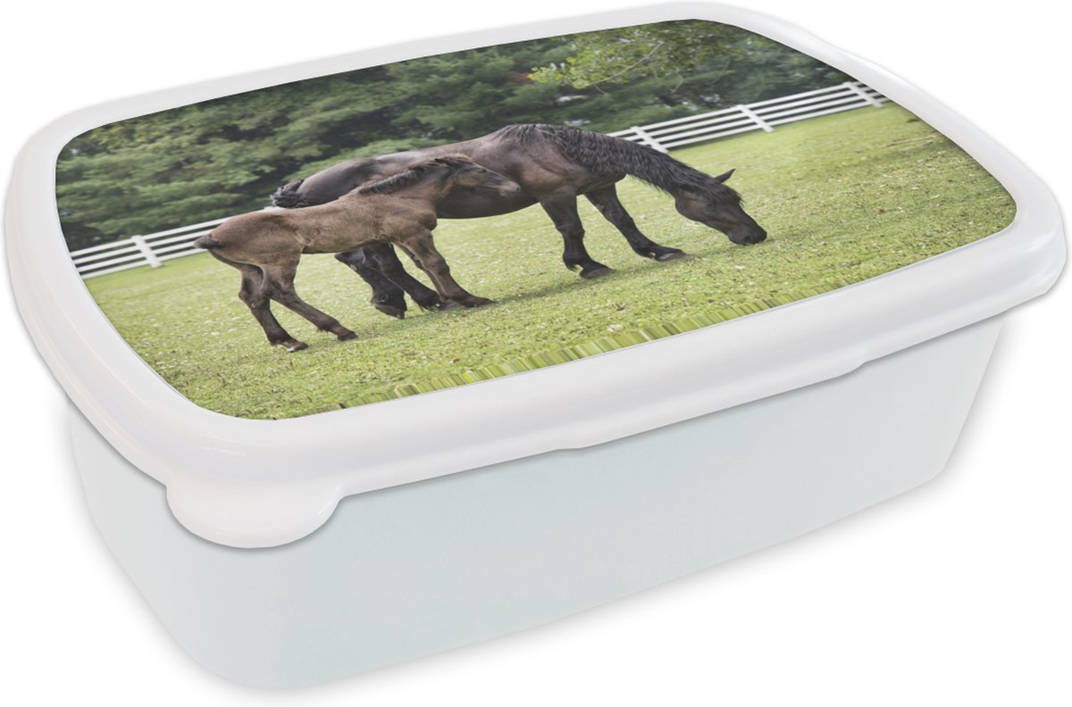 Broodtrommel Wit - Lunchbox - Brooddoos - Paarden - Gras - Boom - 18x12x6 cm - Volwassenen