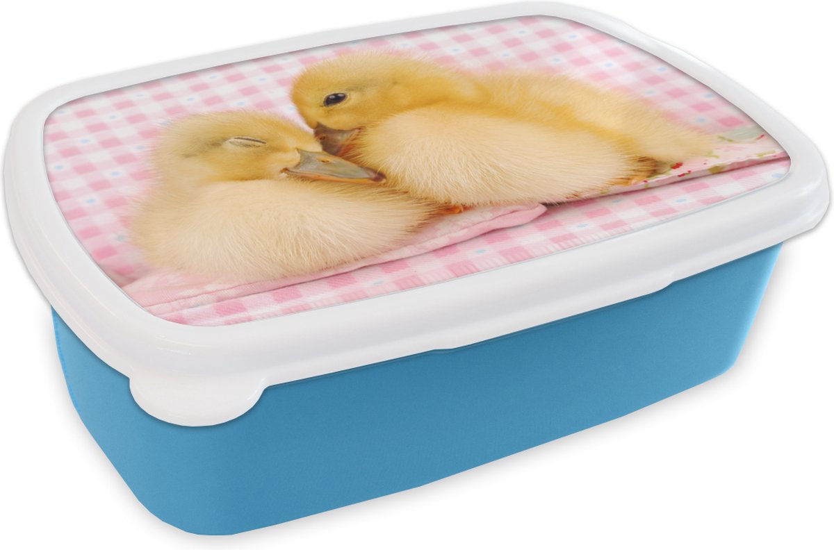 Broodtrommel Blauw - Lunchbox - Brooddoos - Eend - Liefde - Kuiken - 18x12x6 cm - Kinderen - Jongen