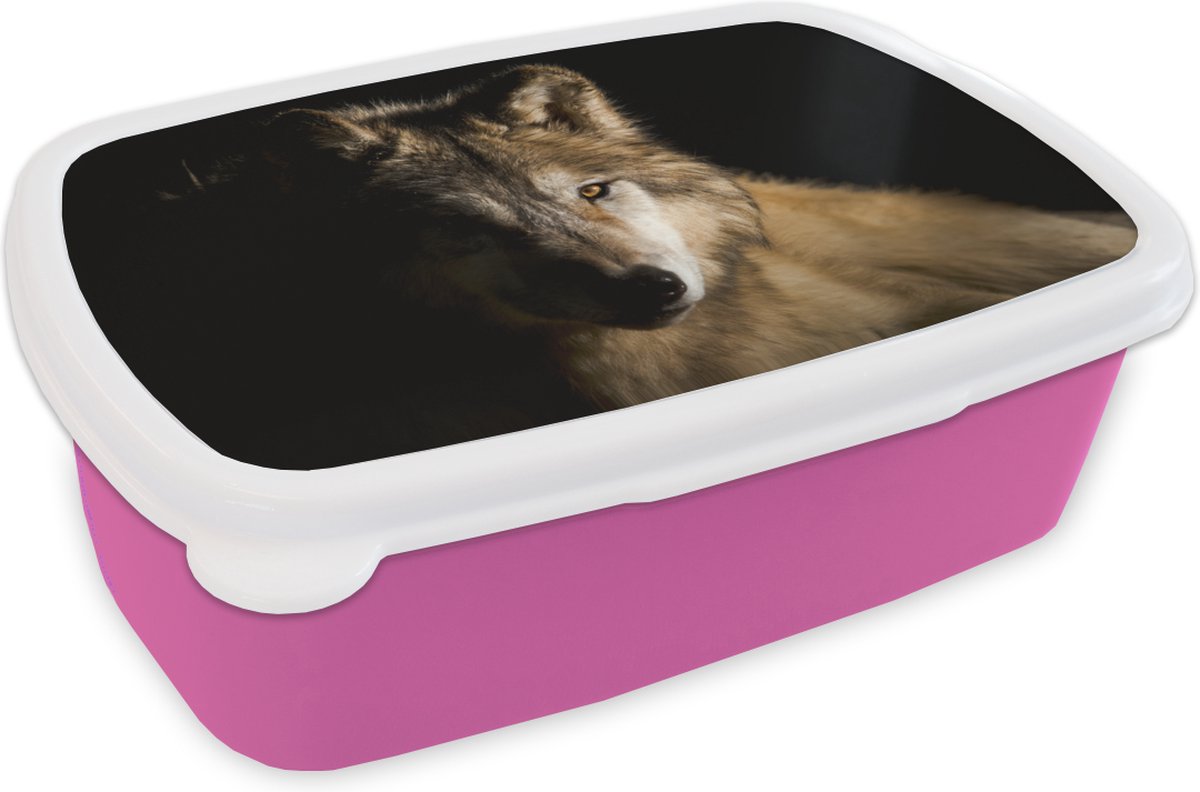 Broodtrommel Roze - Lunchbox - Brooddoos - Arctische wolf - 18x12x6 cm - Kinderen - Meisje