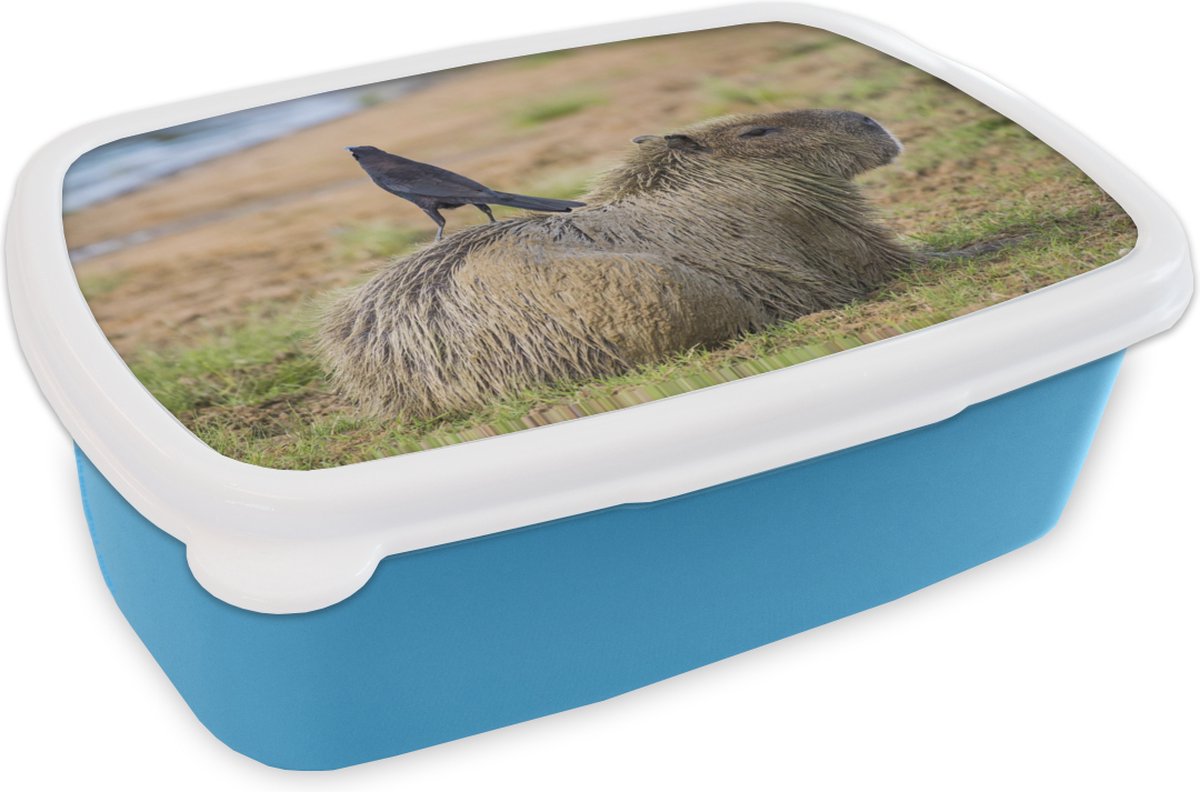 Broodtrommel Blauw - Lunchbox - Brooddoos - Capibara met vogel - 18x12x6 cm - Kinderen - Jongen
