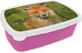 Broodtrommel Roze - Lunchbox - Brooddoos - Rode vos - Gras - Ogen - 18x12x6 cm - Kinderen - Meisje