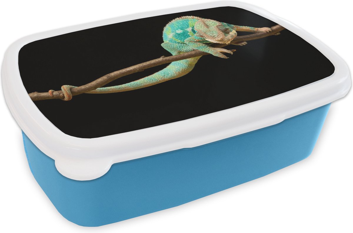 Broodtrommel Blauw - Lunchbox - Brooddoos - Kameleon - Tak - Pastel - 18x12x6 cm - Kinderen - Jongen