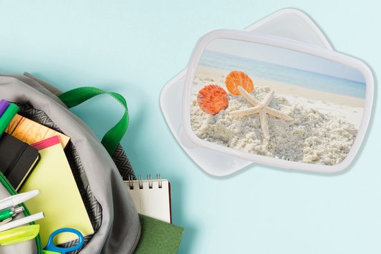 Lunch box Wit - Lunch box - Boîte à pain - Coquillages - Étoile de mer - Sable - 18x12x6 cm - Adultes