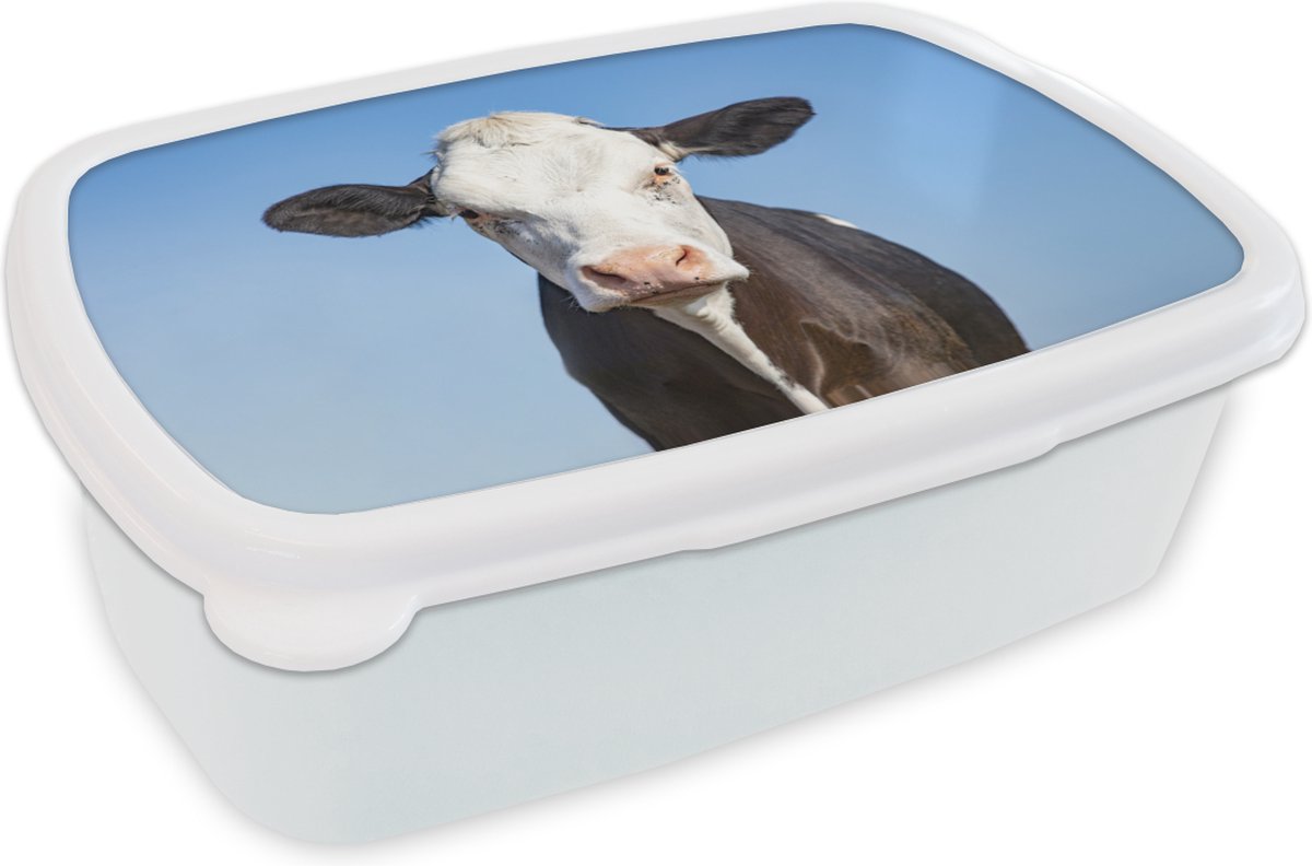 Broodtrommel Wit - Lunchbox - Brooddoos - Koe - Macro - Blauw - 18x12x6 cm - Volwassenen