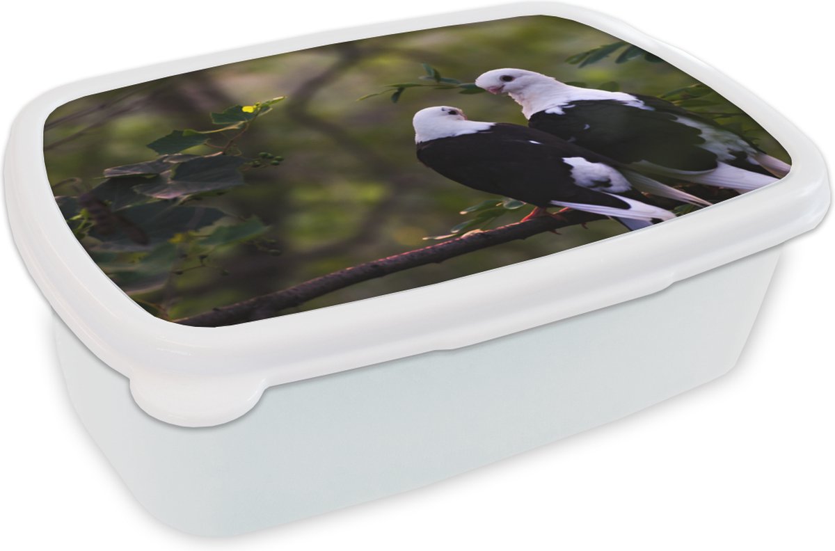 Broodtrommel Wit - Lunchbox - Brooddoos - Vogels - Tak - Bladeren - 18x12x6 cm - Volwassenen