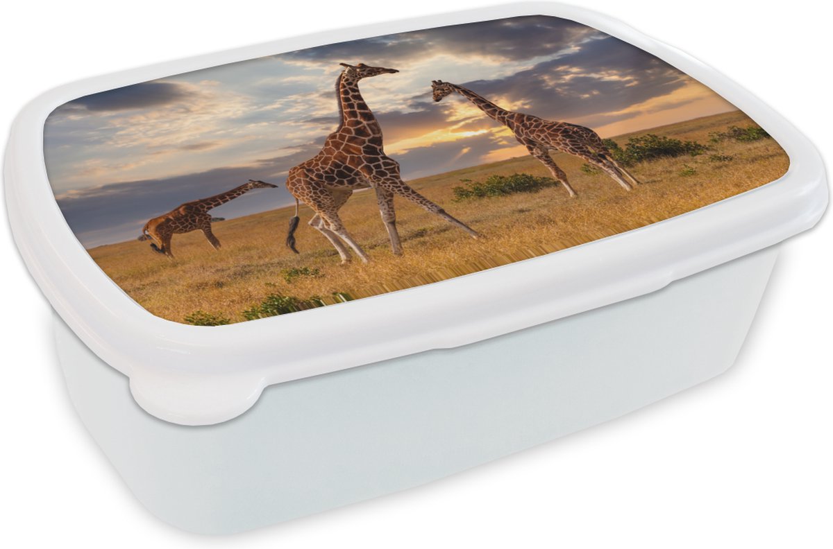 Broodtrommel Wit - Lunchbox - Brooddoos - Giraffes - Zon - Afrika - 18x12x6 cm - Volwassenen
