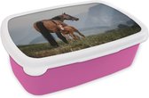 Broodtrommel Roze - Lunchbox - Brooddoos - Paard - Veulen - Berg - 18x12x6 cm - Kinderen - Meisje