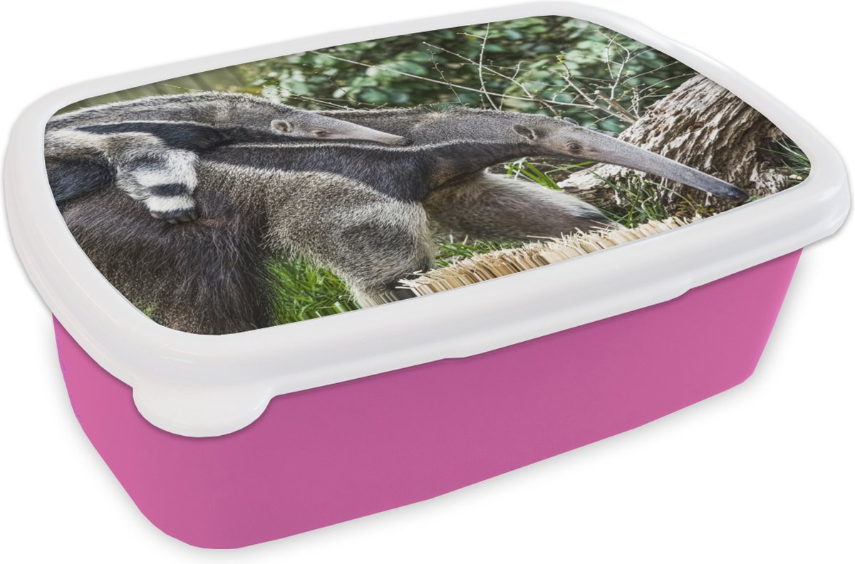 Broodtrommel Roze - Lunchbox - Brooddoos - Miereneter - Plant - Dier - 18x12x6 cm - Kinderen - Meisje