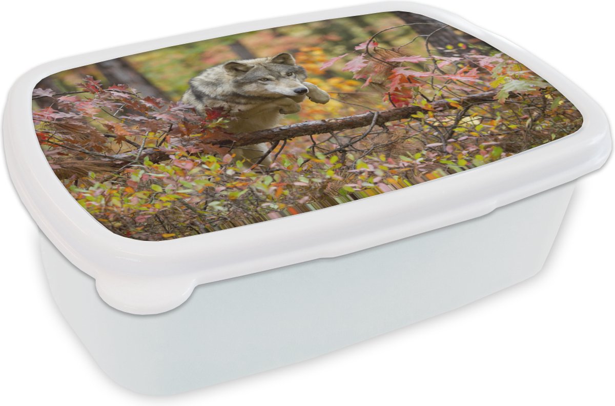 Broodtrommel Wit - Lunchbox - Brooddoos - Wolf - Tak - Bos - 18x12x6 cm - Volwassenen