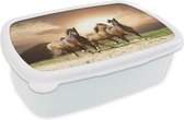 Broodtrommel Wit - Lunchbox Paarden - Zand - Zomer - Brooddoos 18x12x6 cm - Brood lunch box - Broodtrommels voor kinderen en volwassenen
