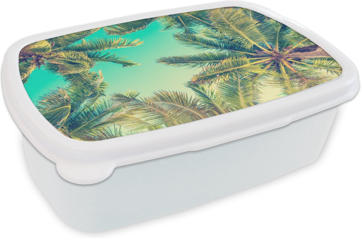 Broodtrommel Wit - Lunchbox - Brooddoos - Palmbomen - Lucht - Zomer - 18x12x6 cm - Volwassenen