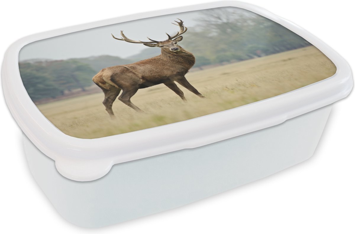 Broodtrommel Wit - Lunchbox - Brooddoos - Hert - Dieren - Gewei - 18x12x6 cm - Volwassenen