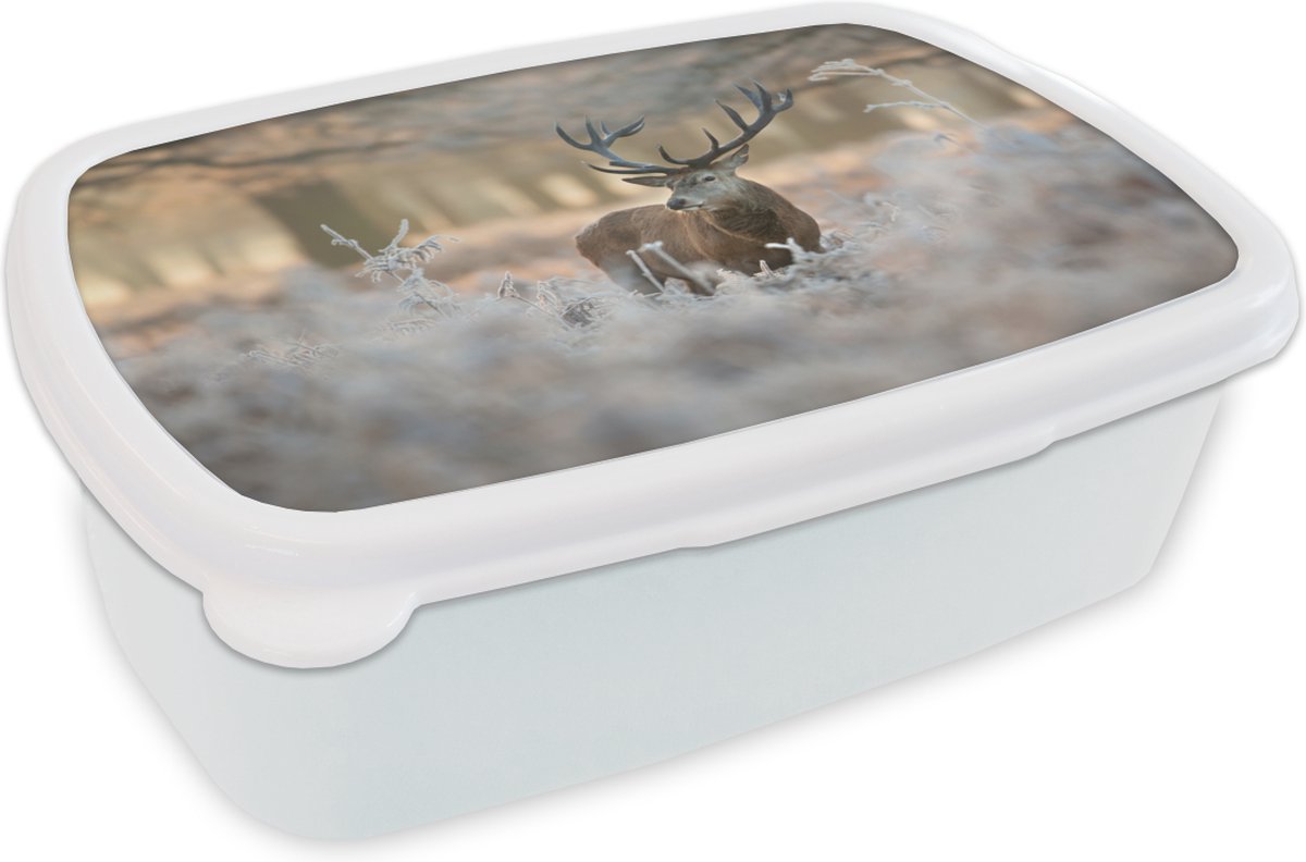 Broodtrommel Wit - Lunchbox - Brooddoos - Hert - Dieren - Winter - 18x12x6 cm - Volwassenen