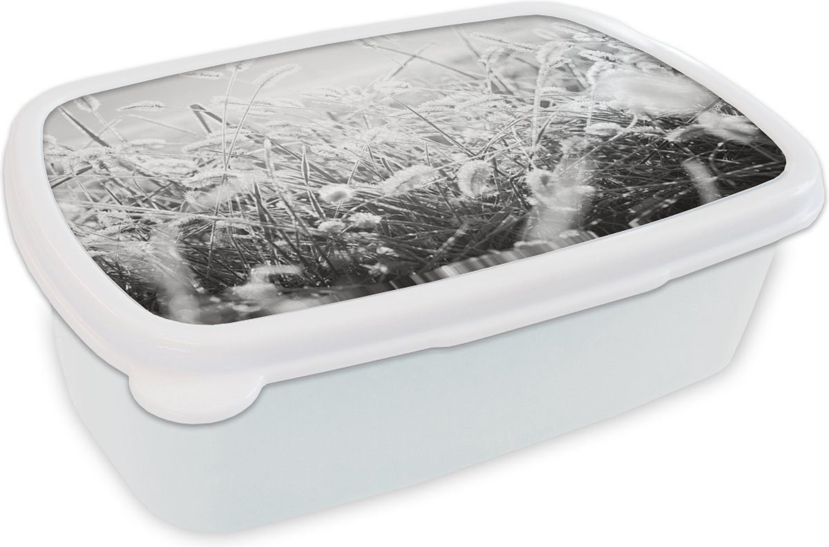 Broodtrommel Wit - Lunchbox - Brooddoos - Winter - IJs - Zwart - Wit - 18x12x6 cm - Volwassenen