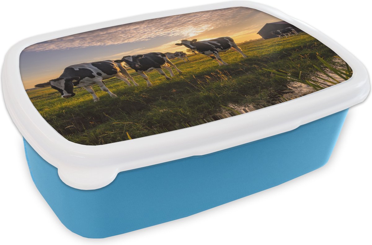Broodtrommel Blauw - Lunchbox - Brooddoos - Koe - Dier - Weiland - 18x12x6 cm - Kinderen - Jongen