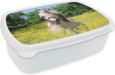 Broodtrommel Wit - Lunchbox Paard - Bloemen - Geel - Brooddoos 18x12x6 cm - Brood lunch box - Broodtrommels voor kinderen en volwassenen