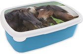 Broodtrommel Blauw - Lunchbox - Brooddoos - Paarden - Dieren - Bruin - 18x12x6 cm - Kinderen - Jongen