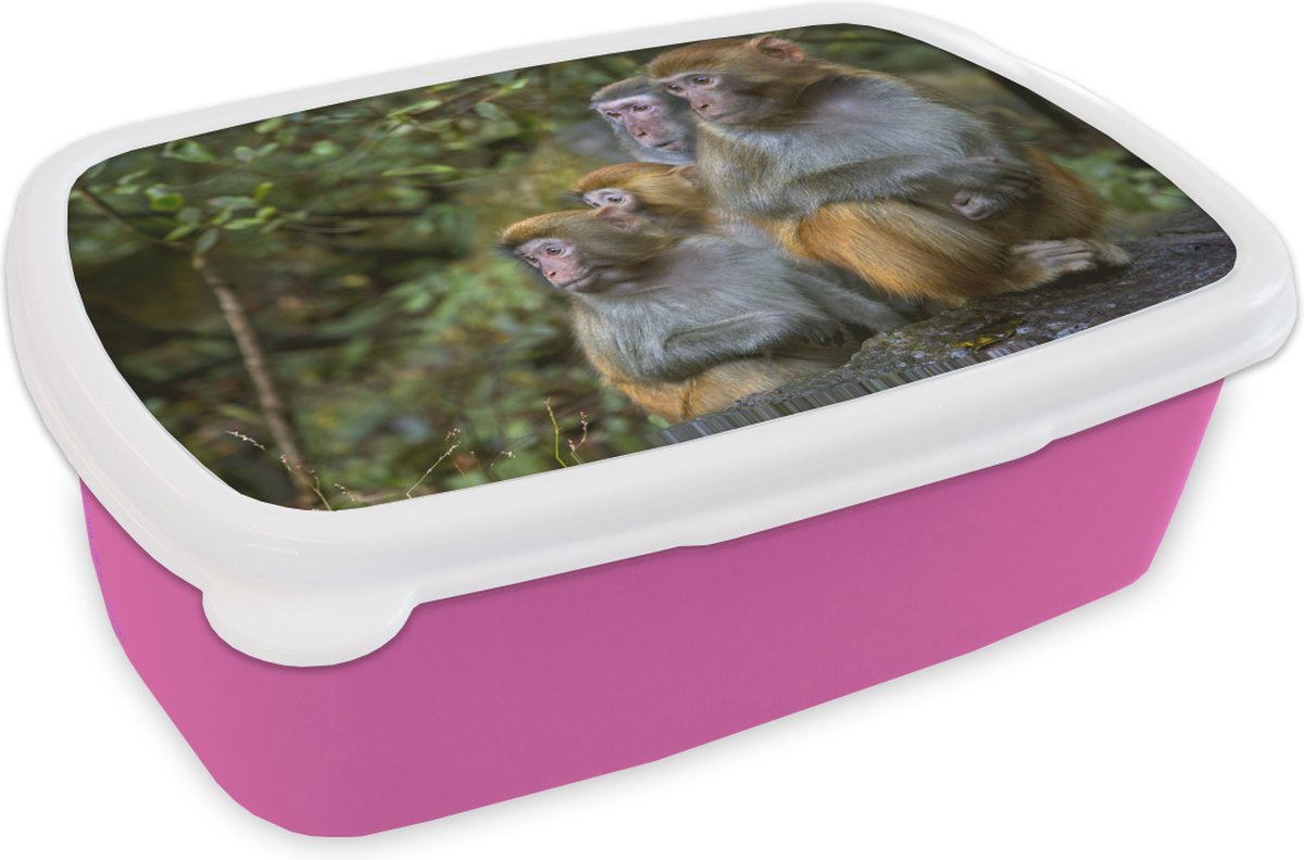 Broodtrommel Roze - Lunchbox - Brooddoos - Apen - Stenen - Bos - 18x12x6 cm - Kinderen - Meisje
