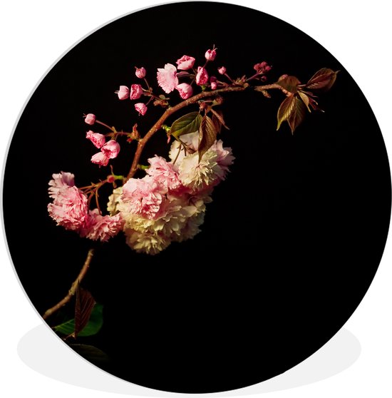 Wandcirkel met een kersenbloesemtak met roze en witte bloemen tegen een zwarte achtergrond.
