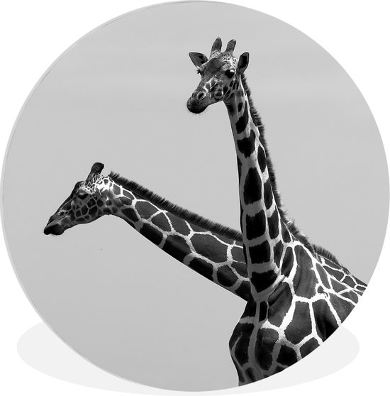 WallCircle - Wandcirkel ⌀ 90 - Twee giraffes in zwart-wit - Ronde schilderijen woonkamer - Wandbord rond - Muurdecoratie cirkel - Kamer decoratie binnen - Wanddecoratie muurcirkel - Woonaccessoires