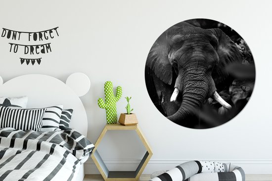 Cercle Mural - Cercle Mural Intérieur - Animaux - Éléphant - Papillons - Zwart - Wit - ⌀ 140 cm - Décoration murale - Peintures Ronds