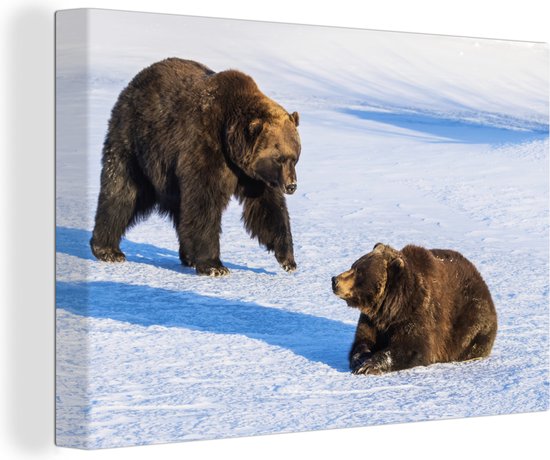 Bruine beren in de sneeuw Canvas 120x80 cm - Foto print op Canvas schilderij (Wanddecoratie)
