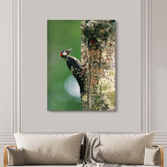 Un grand pic tacheté à son nid au Japon Toile 120x160 cm - Tirage photo sur Toile (Décoration murale salon / chambre) XXL / Groot format!